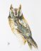 Scops Owl