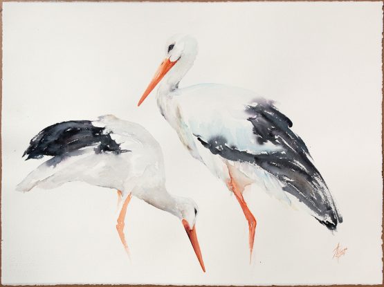 white storks watercolor