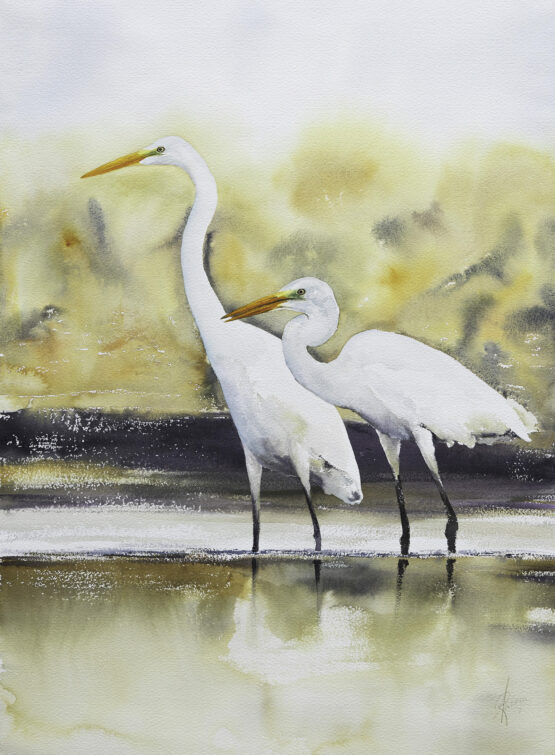 The great egret