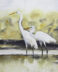 The great egret